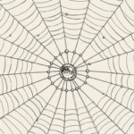 Spider Web Drawing Tutorial | Easy Step-by-Step Guide for Beginners